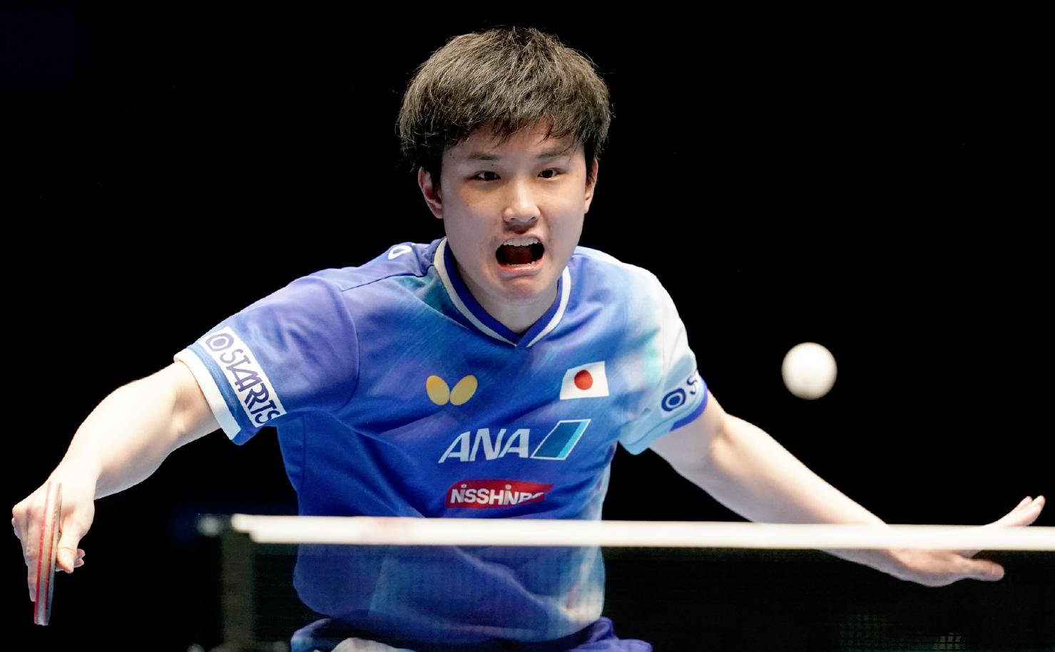 包含日本队轻取葡萄牙队，张本智和关键制胜的词条