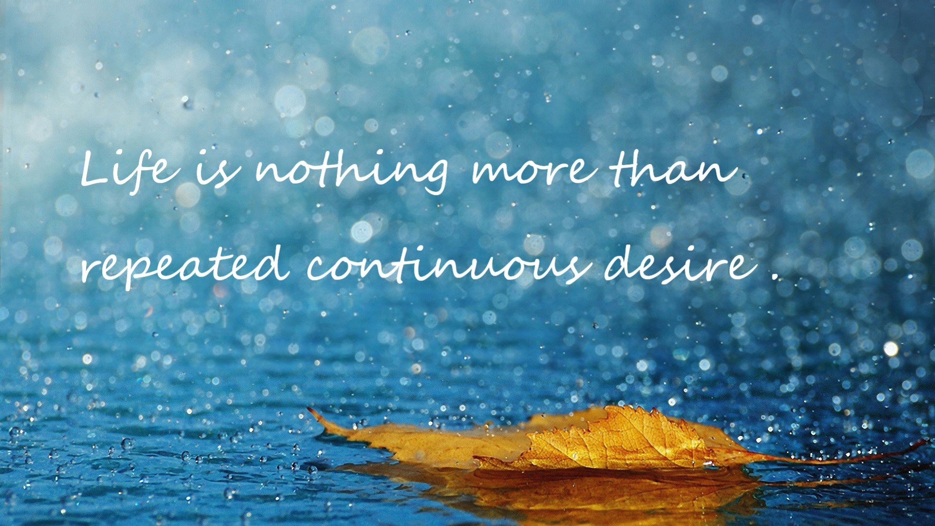 开云APP-速度与激情碰撞！F1新赛季揭幕战惊现绝杀，鹈鹕终结吉林队统治时代