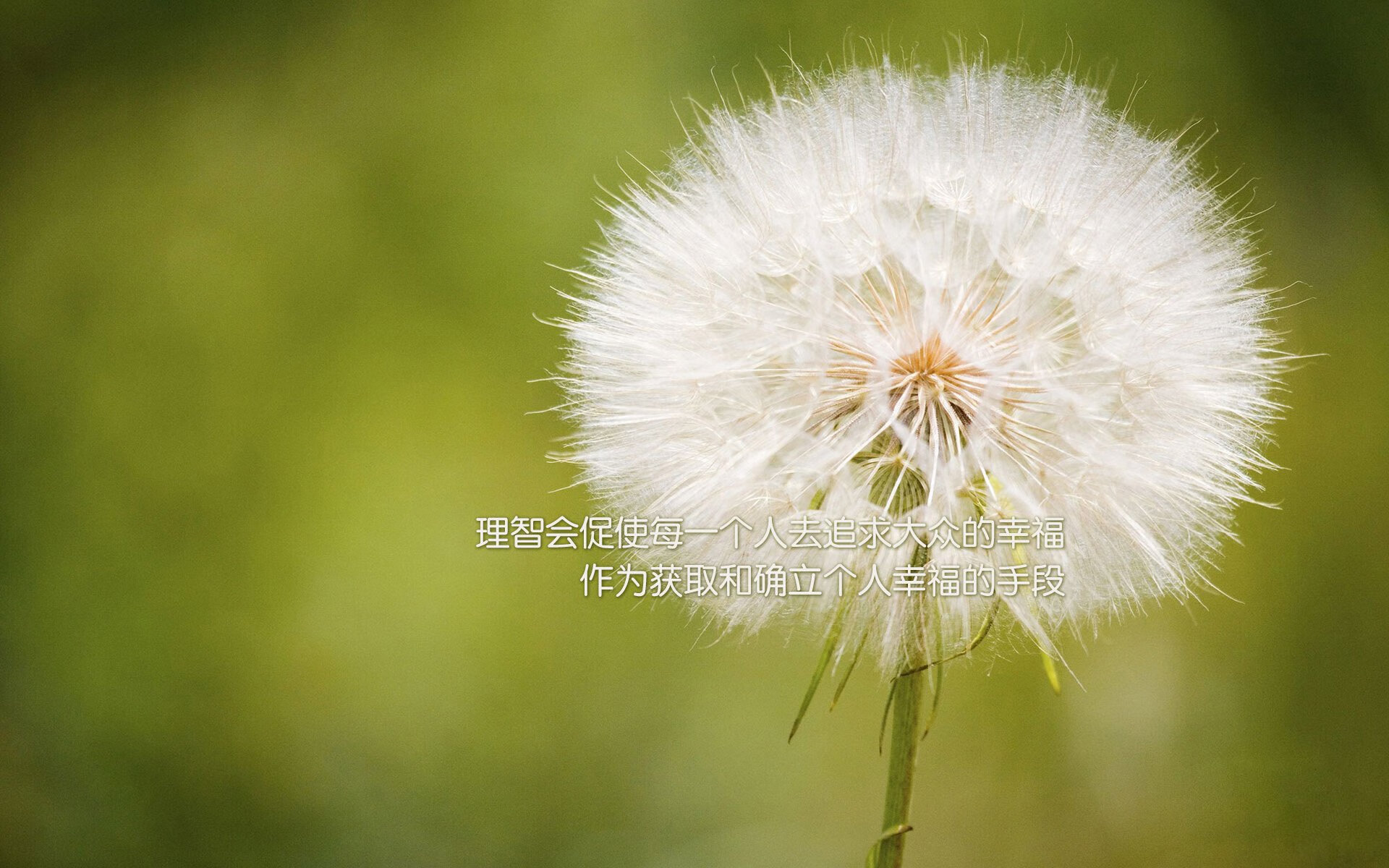 骑士血拼新疆惊魂夜！杰伦格林狂轰40+主宰赛场，他是最冷血的杀手吗？