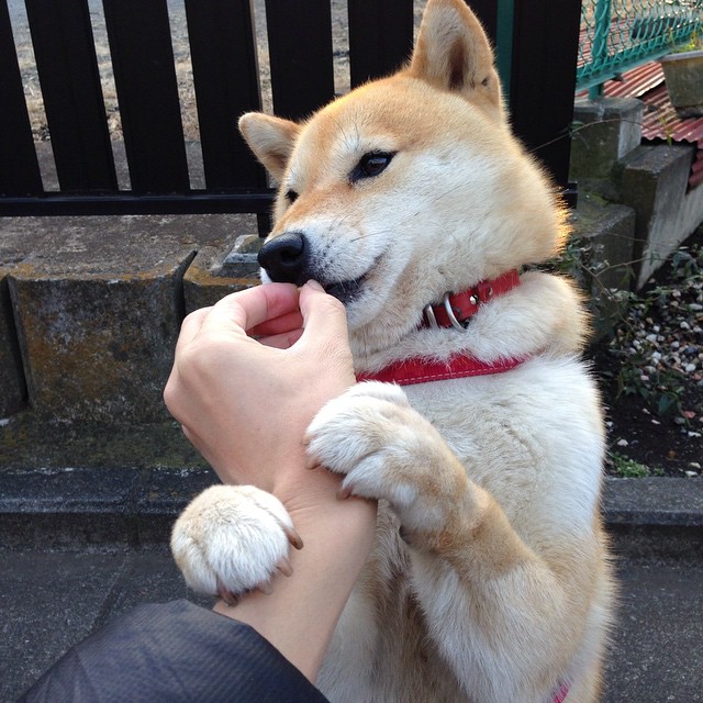 亚洲铁闸燃爆欧洲！富安健洋一战封神，生涯之夜撼动墨西哥与塞维利亚